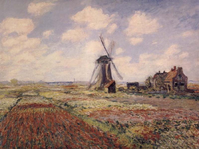 Claude Monet A Field of Tulips in Holland Germany oil painting art